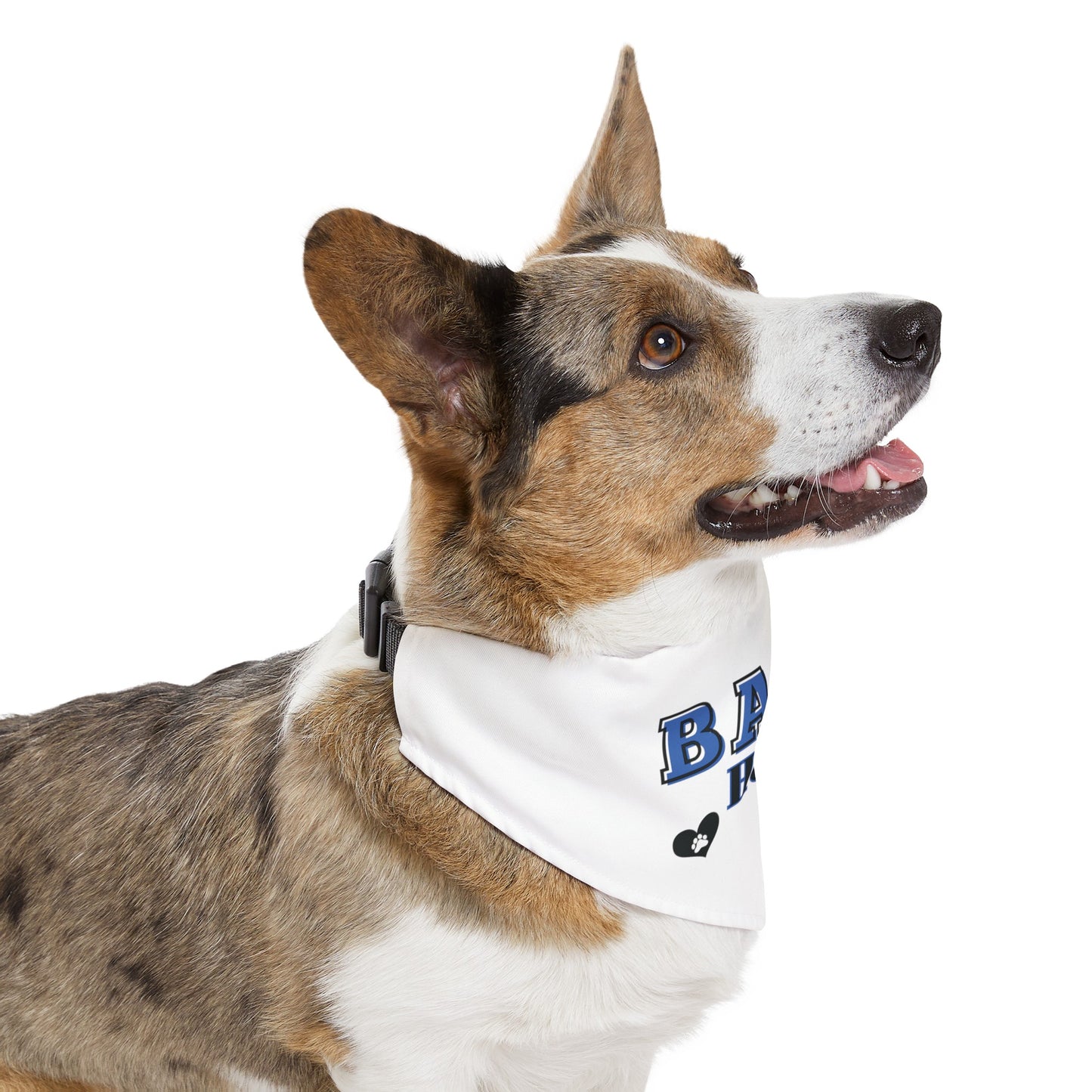 Funny Dog Bandana Collar - Ball Hog