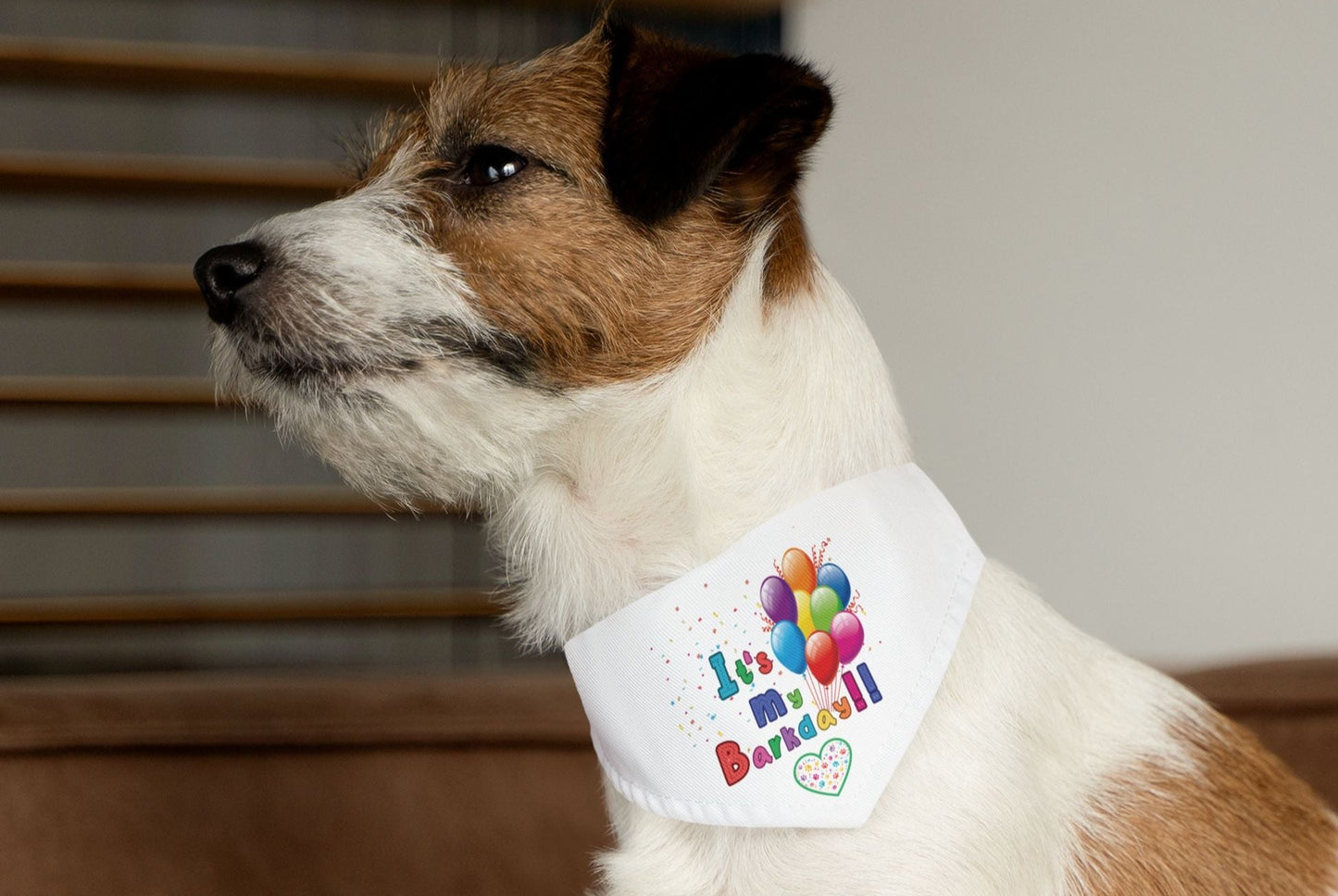 Dog Birthday Bandana Collar - It's My Barkday - size Small