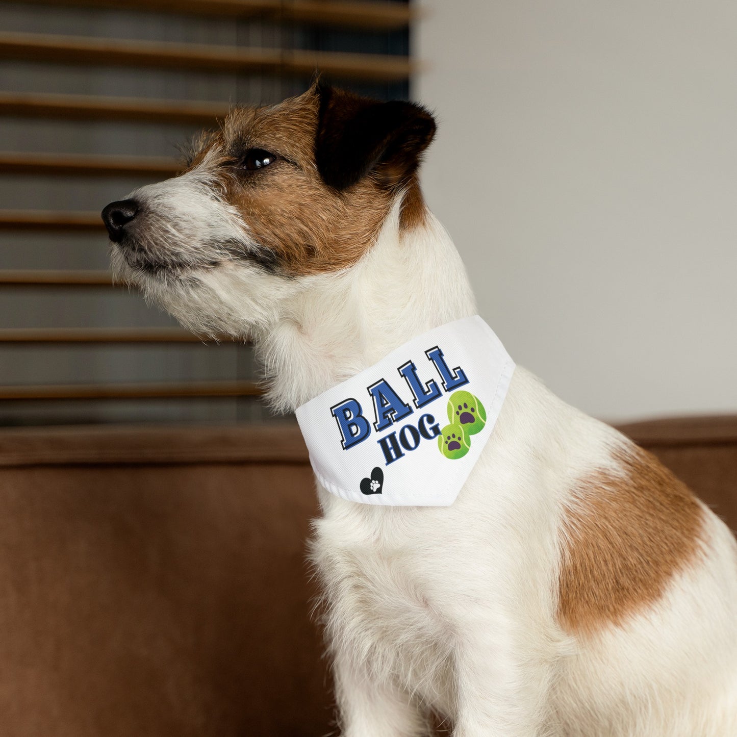 Funny Dog Bandana Collar - Ball Hog