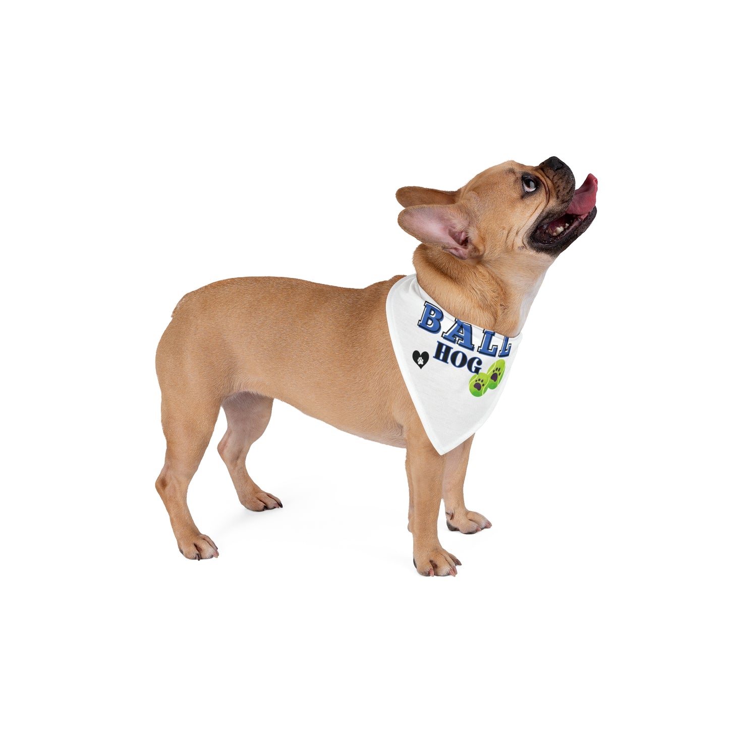 Funny Dog Bandana - Ball Hog