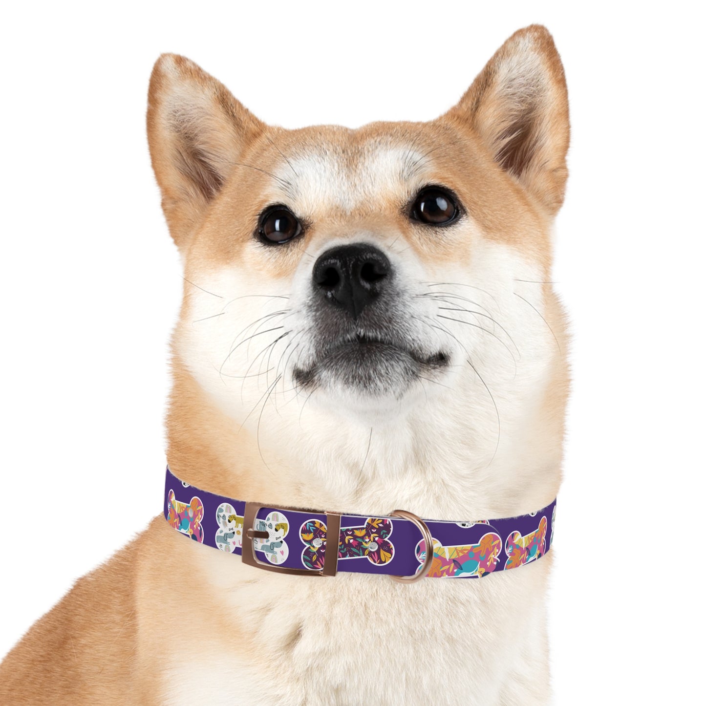 Dog Collar, Fun Multi-Colored Dog Bone Pattern