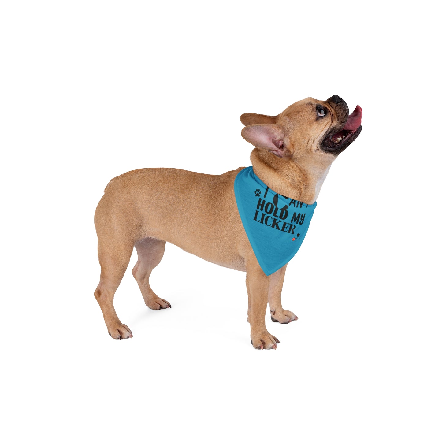 Funny Dog Bandana - I Can't Hold My Licker