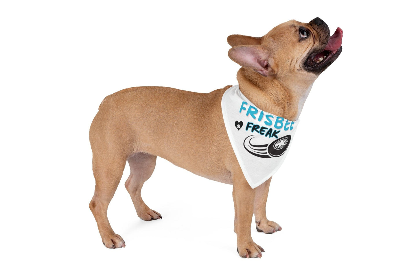 Funny Dog Bandana - Frisbee Freak