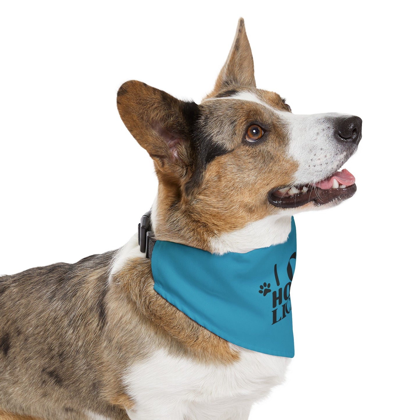 Funny Dog Bandana Collar - I Can't Hold My Licker