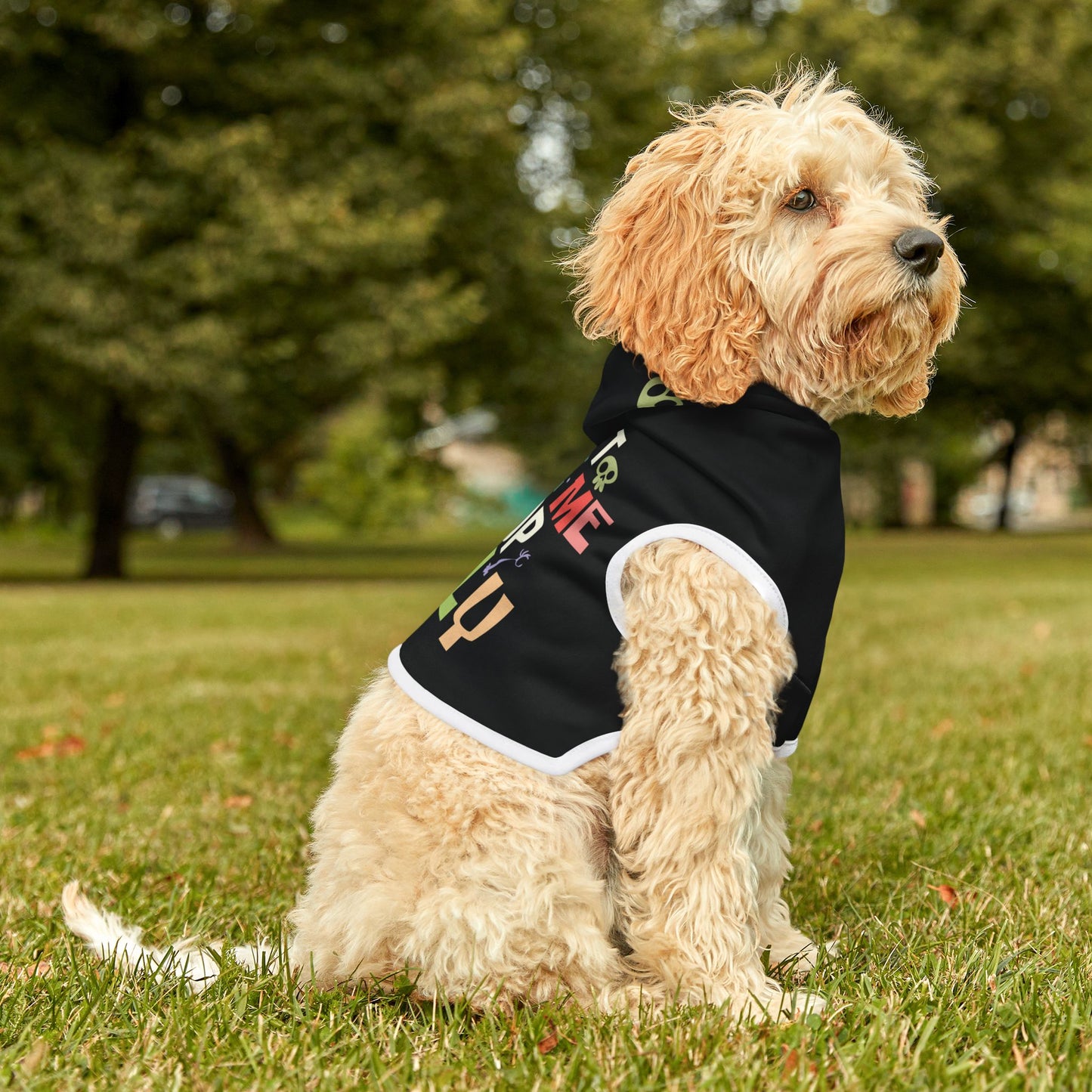 Pet Hoodie - Funny Halloween - Don't Scare Me I Poop Easily Dog Coat