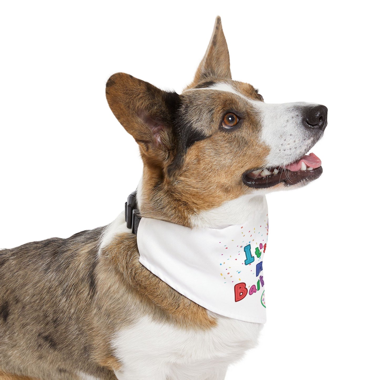 Dog Birthday Bandana Collar - It's My Barkday!! - sizes Medium, Large, and XL