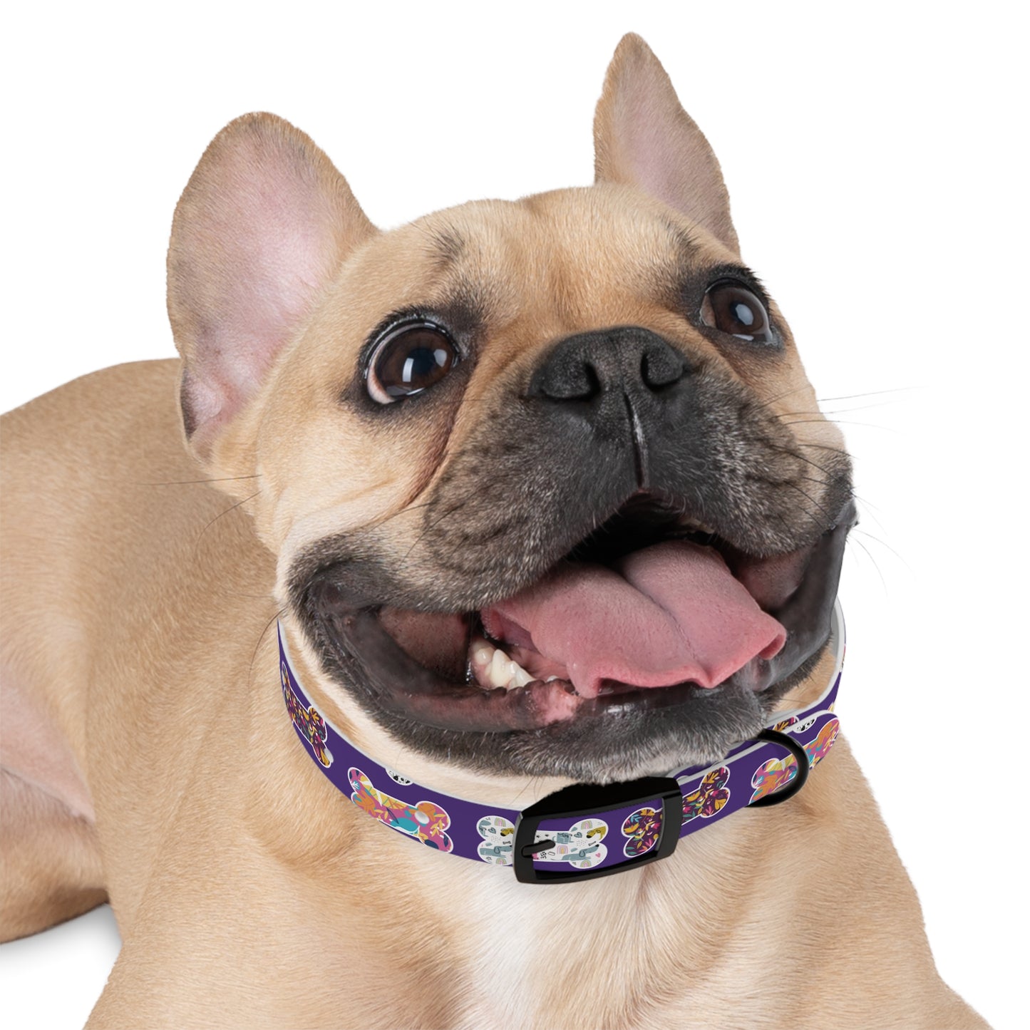 Dog Collar, Fun Multi-Colored Dog Bone Pattern