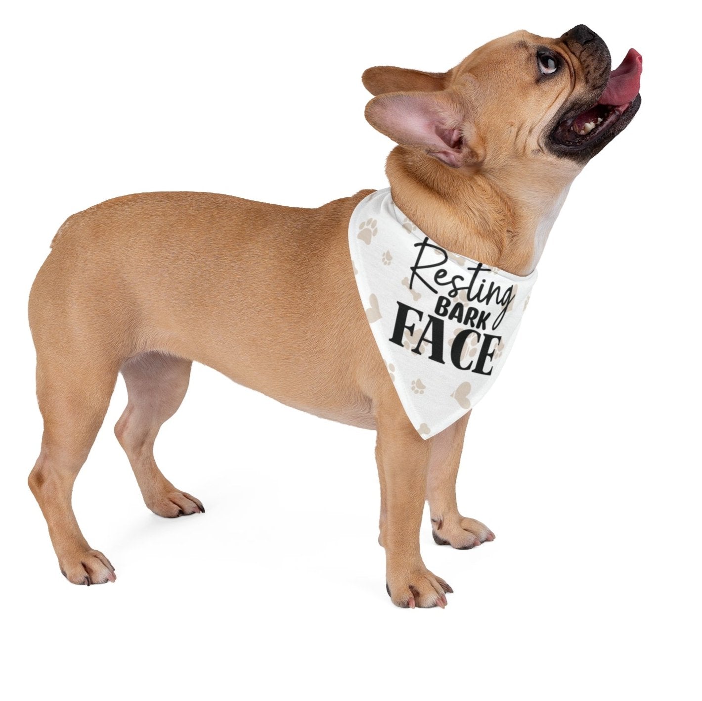 Funny Dog Bandana - Resting Bark Face