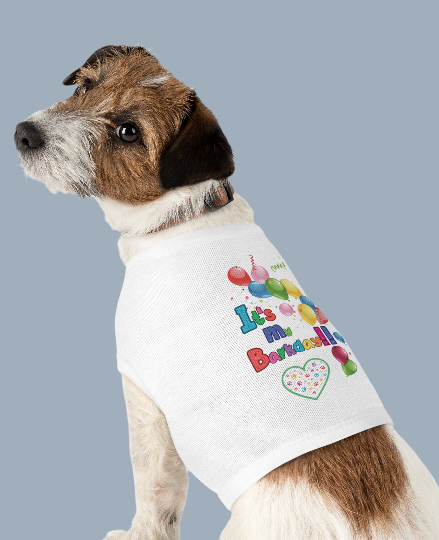 Dog Birthday Shirt - It's My Barkday!