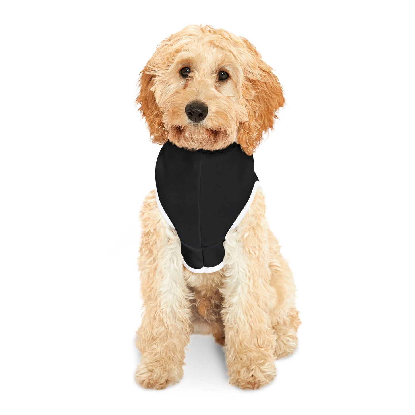 Pet Hoodie - Funny Halloween - Don't Scare Me I Poop Easily Dog Coat