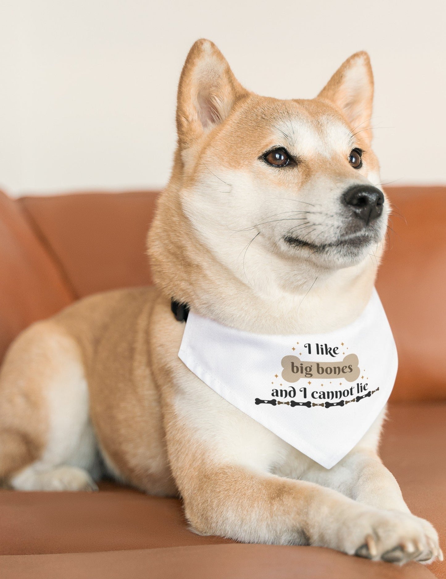 Funny Dog Bandana Collar - I Like Big Bones and I Cannot Lie