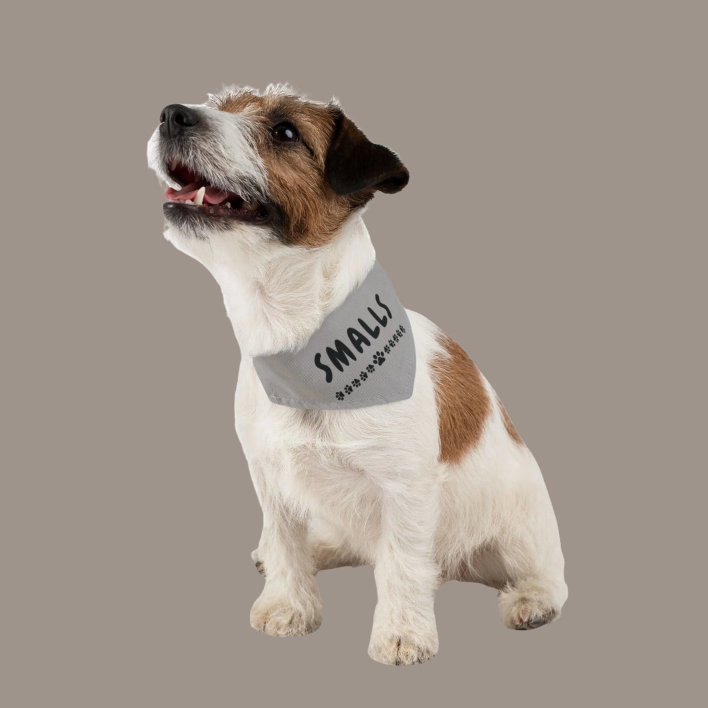 Matching Dog & Owner Shirt & Bandana Set - * Biggie * *Smalls* - Funny Shirts and Pet outfits