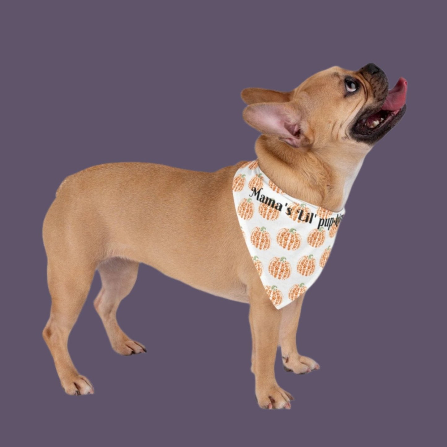 Dog Bandana - Mama's Lil' Pup-kin - Fall Festive Paw Print Pumpkin Pet Bandana