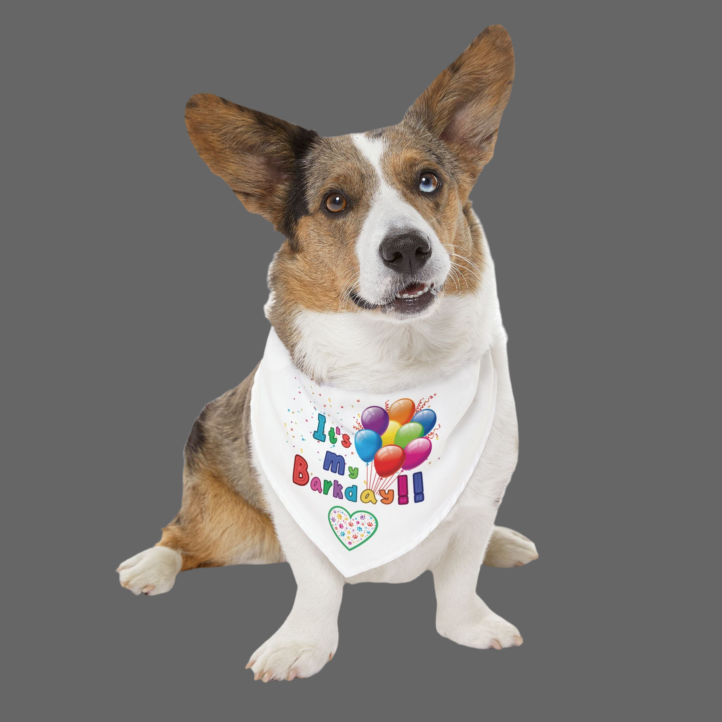 Dog Birthday Bandana Collar - It's My Barkday!! - sizes Medium, Large, and XL